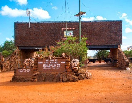 Tsavo East National Park（察沃东国家公园）-非行家旅行-Africa Wild Wander