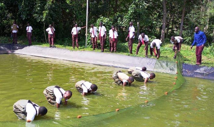 Mwitoko Fish Farm（姆维托科鱼场）-非行家旅行-Africa Wild Wander