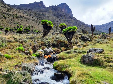 Sirimon Route（锡里蒙路线）-非行家旅行-Africa Wild Wander