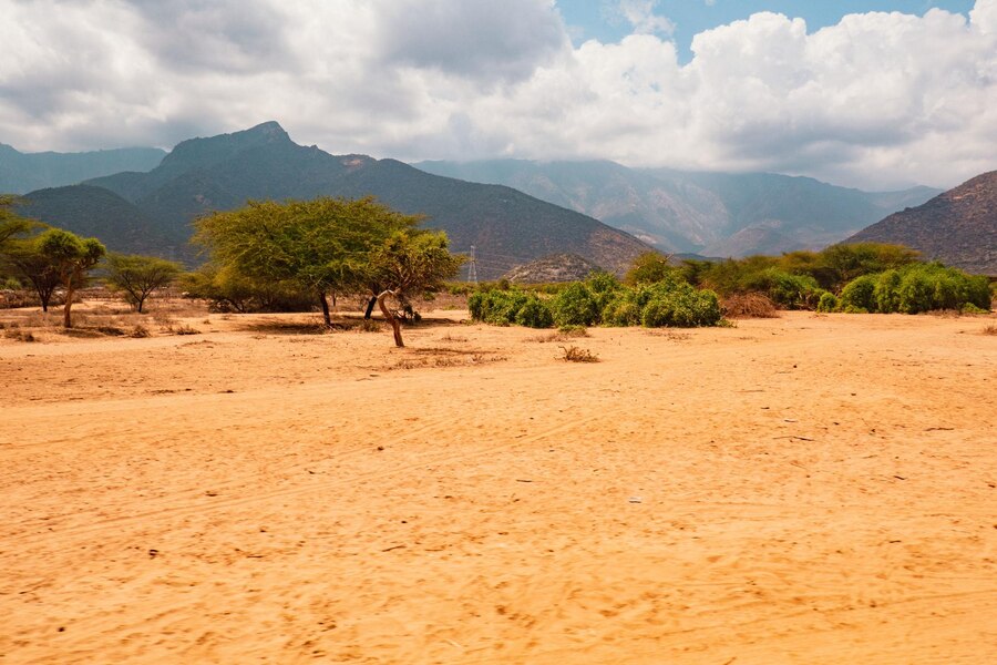 Ndoto Mountains（恩多托山脉）-非行家旅行-Africa Wild Wander