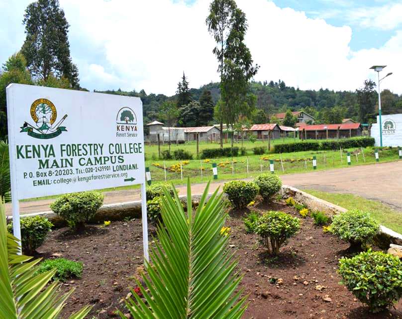 KFC Hospitality Centre（县域目的地）-非行家旅行-Africa Wild Wander
