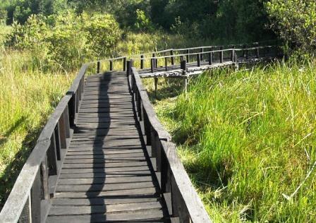 Trans Nzoia County（特兰斯恩佐亚县）-非行家旅行-Africa Wild Wander