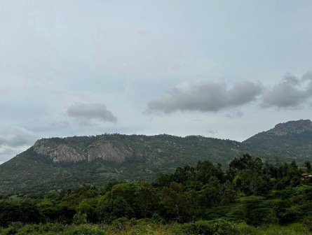 Mbooni Hills（姆博尼山地）-非行家旅行-Africa Wild Wander