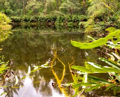 Butterfly Pavillion（生态公园 / 海洋保护）-非行家旅行-Africa Wild Wander