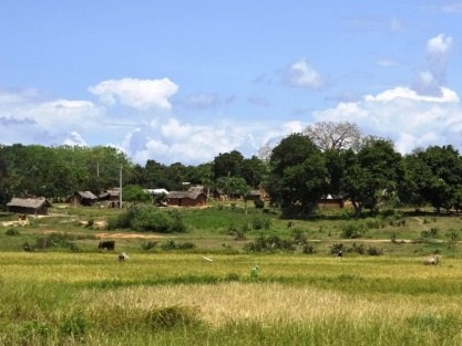 Vanga Ruins（斯瓦希里遗产 / 文化景观）-非行家旅行-Africa Wild Wander