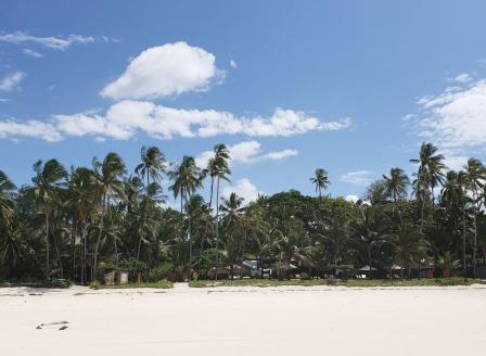 Sails Beach Bar（海滩 / 岛屿）-非行家旅行-Africa Wild Wander