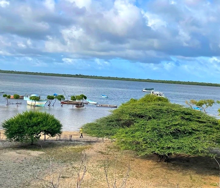 Red Pepper House（住宿 / 餐饮）-非行家旅行-Africa Wild Wander