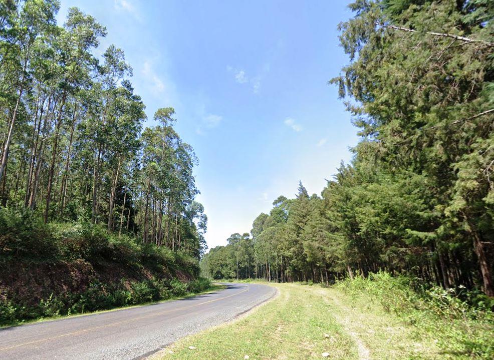Nyangweta Forest（自然景观 / 徒步）-非行家旅行-Africa Wild Wander