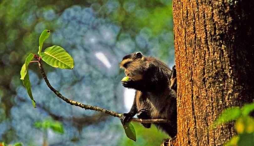 Isecheno Nature Reserve（伊塞切诺自然保护区）-非行家旅行-Africa Wild Wander