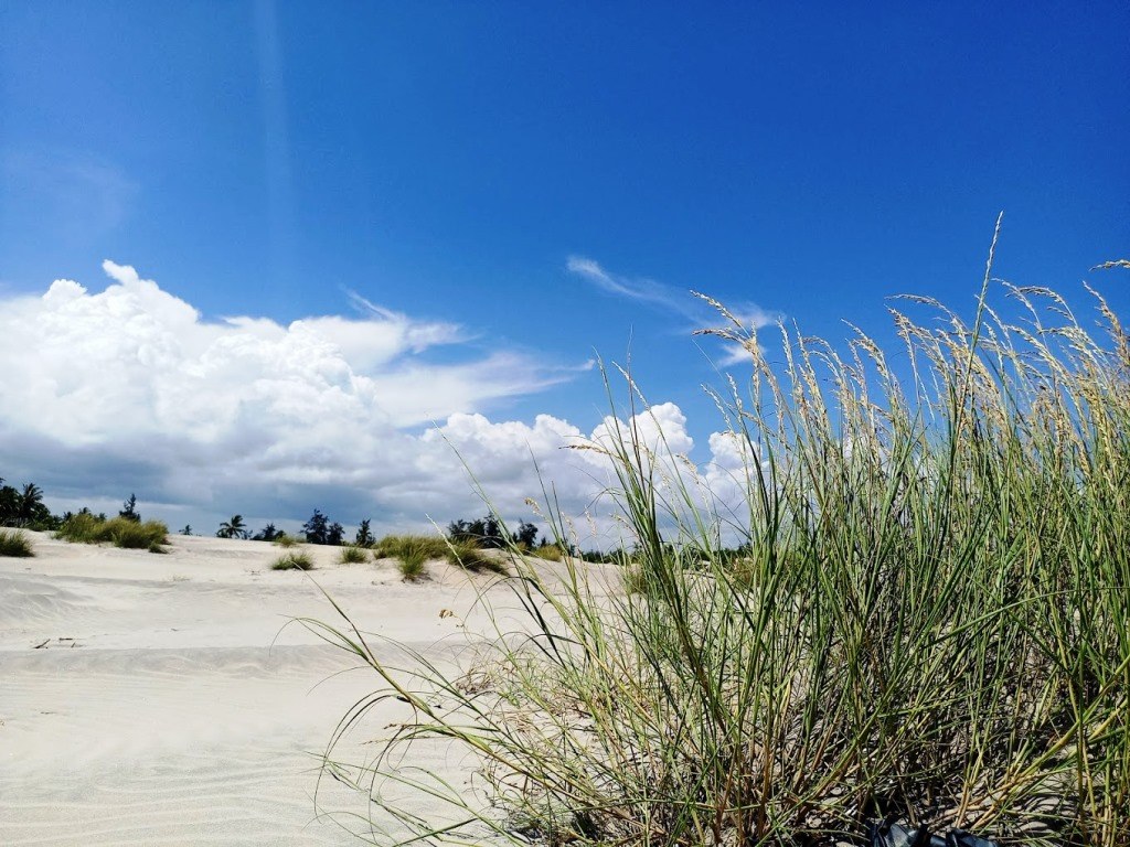 Mambrui Sand Dunes（水系 / 湖泊 / 海岸）-非行家旅行-Africa Wild Wander