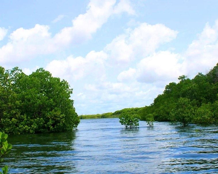 Kiunga Marine National Reserve（基翁加海洋国家保护区）-非行家旅行-Africa Wild Wander