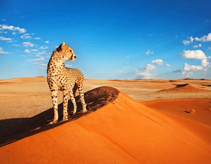 Nyiri Desert（县域目的地）-非行家旅行-Africa Wild Wander