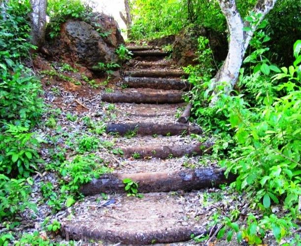 Munje Ruins（海滩 / 岛屿）-非行家旅行-Africa Wild Wander