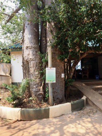 KWS Shimoni Cottages（住宿餐饮 / 休闲设施）-非行家旅行-Africa Wild Wander