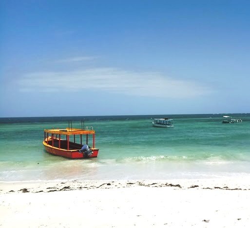 Malindi Marine Park（历史遗产 / 博物馆）-非行家旅行-Africa Wild Wander