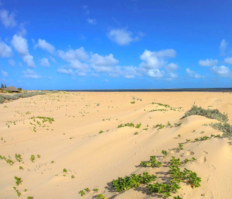 Kizingoni Beach（海岛 / 海滩 / 船行体验）-非行家旅行-Africa Wild Wander