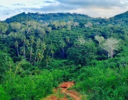 Thomas Wakefield Church(历史遗产 / 博物馆)-非行家旅行-Africa Wild Wander