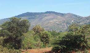Kiangombe Forest（水系 / 湖泊 / 海岸）-非行家旅行-Africa Wild Wander