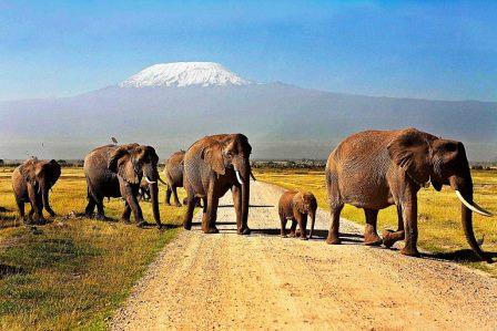 Amboseli National Park, Meru National Park, Marsabit Park, Sibiloi National Park, Lake Nakuru National Park（水系 / 湖泊 / 海岸）-非行家旅行-Africa Wild Wander