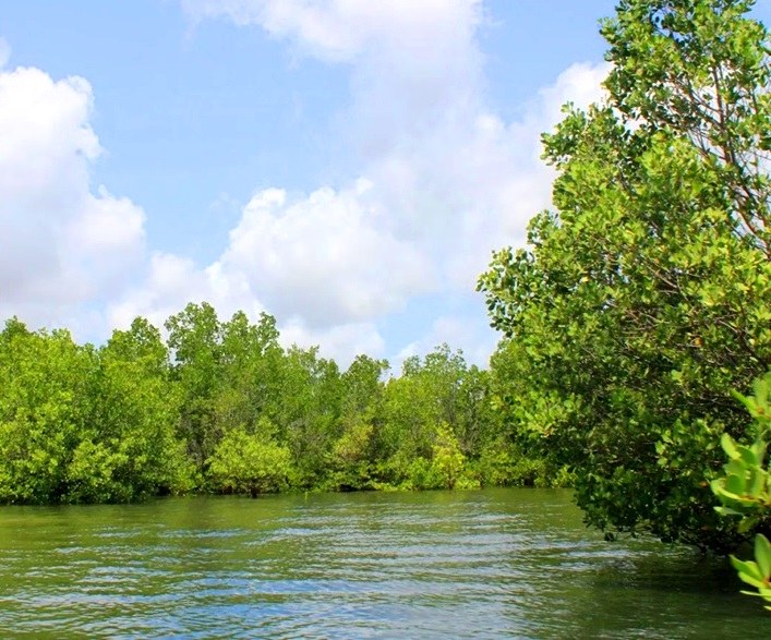 Kiunga Marine National Reserve（基翁加海洋国家保护区）-非行家旅行-Africa Wild Wander