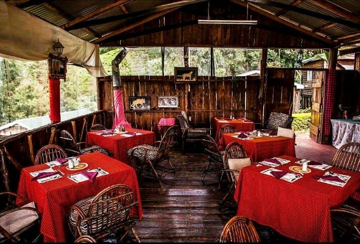 Aberdare Fishing Lodge（Aberdare 森林 / 徒步）-非行家旅行-Africa Wild Wander