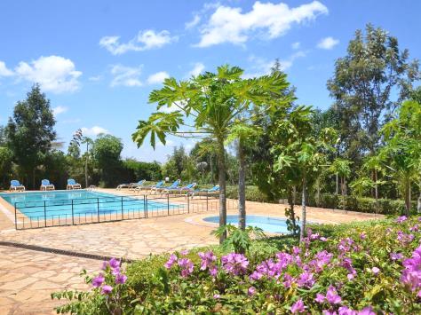 ACK Resort Salama(住宿 / 公路中转)-非行家旅行-Africa Wild Wander