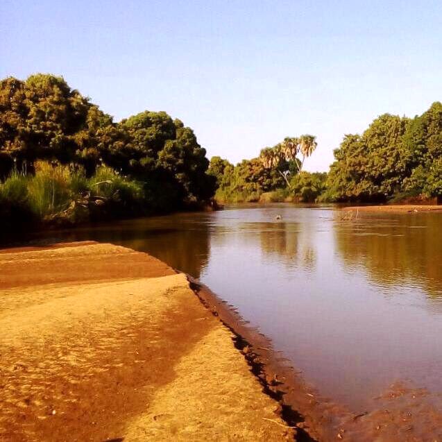 Daua River（水系 / 湖泊 / 海岸）