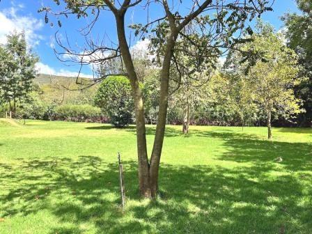 Malewa Bundu Camp(住宿休闲 / 艺术度假)-非行家旅行-Africa Wild Wander