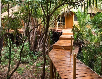 Rhino River Camp（Meru National Park / Safari）-非行家旅行-Africa Wild Wander