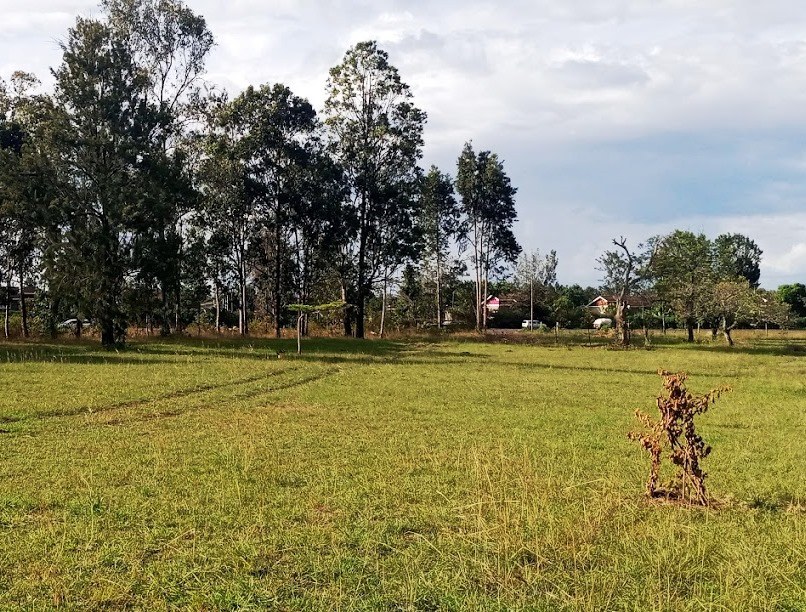 Makuyu Golf Club（公路景观 / 休闲设施）-非行家旅行-Africa Wild Wander