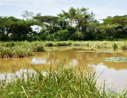 Mount Elgon（自然景观 / 徒步）-非行家旅行-Africa Wild Wander