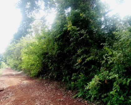 Mrima Hill Rare Earth Mine（姆里马山稀土矿议题）-非行家旅行-Africa Wild Wander