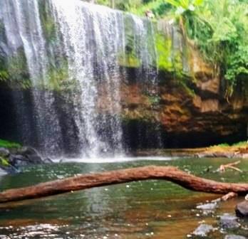 Chuka Forest（丘卡森林）-非行家旅行-Africa Wild Wander