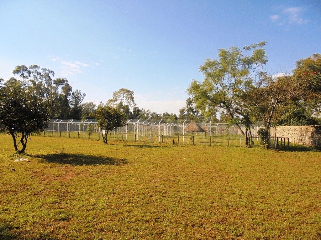 Buteyo Miti Park（自然景观 / 徒步）-非行家旅行-Africa Wild Wander