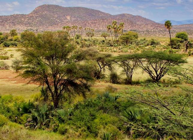 Buffalo Springs Reserve（水系 / 湖泊 / 海岸）-非行家旅行-Africa Wild Wander