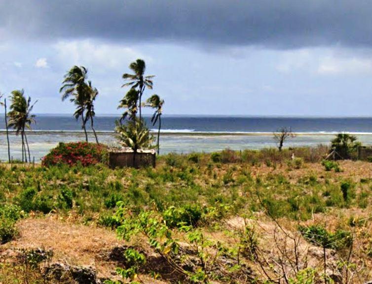 Vipingo Mosque Ruins（历史遗产 / 博物馆）-非行家旅行-Africa Wild Wander