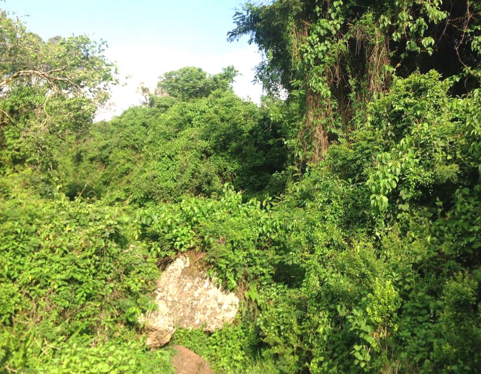 Keben Spring Water（产业 / 地方资源）-非行家旅行-Africa Wild Wander