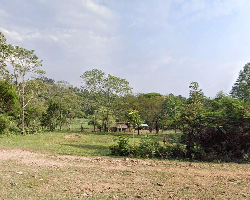 North Nandi Forest(北南迪森林)-非行家旅行-Africa Wild Wander