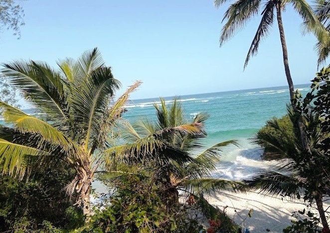 Tiwi Beach(蒂维海滩)-非行家旅行-Africa Wild Wander