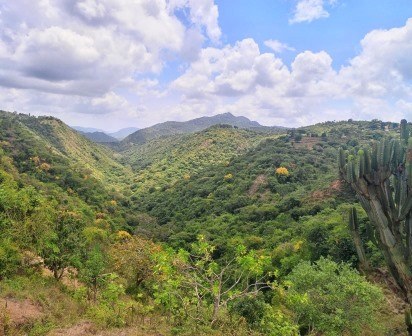 Ikoo Valley（伊库谷）-非行家旅行-Africa Wild Wander