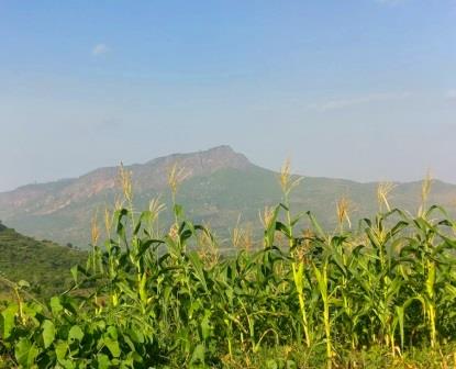 Kituluni Hill（山地 / 岩石 / 观景）-非行家旅行-Africa Wild Wander