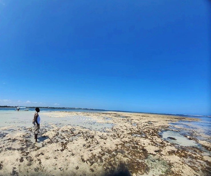 Mombasa Marine Park（蒙巴萨海洋公园）-非行家旅行-Africa Wild Wander