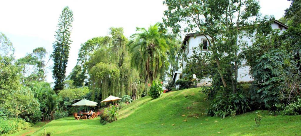Kiambu County（县域概览）-非行家旅行-Africa Wild Wander