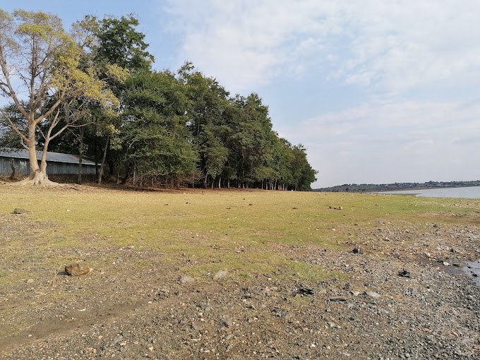 Riakanau Viewpoint（水系 / 湖泊 / 海岸）