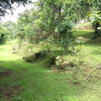 Cheruiyot Ecosystem（县域目的地）-非行家旅行-Africa Wild Wander