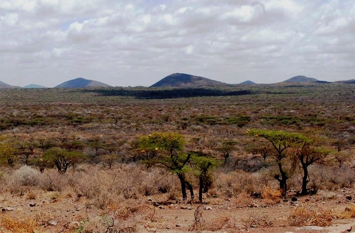 Magado Cave Dwellings（历史遗产 / 博物馆）-非行家旅行-Africa Wild Wander