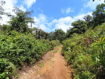 Vuria Hill（武里亚山）-非行家旅行-Africa Wild Wander