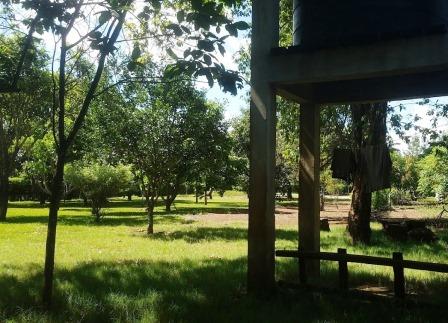 Kijani Camp(基贾尼营地)-非行家旅行-Africa Wild Wander