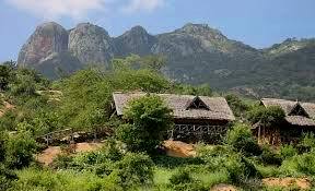 Ngulia Hills（Tsavo West / 火山与泉水）-非行家旅行-Africa Wild Wander