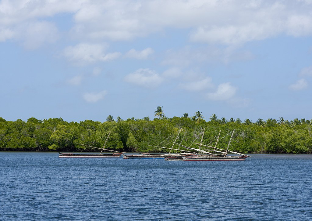 Mangrove Forests（保护区 / 海岸生态）-非行家旅行-Africa Wild Wander